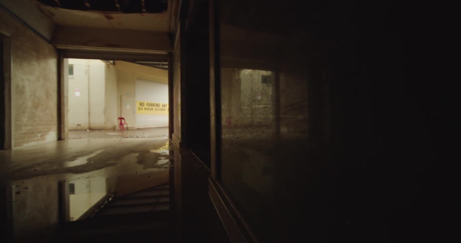 This video shows a dimly lit interior hallway looking out toward a brighter floodedlooking space possibly an alley or parking garage through a doorwaythe floor is covered with dark reflective water that mirrors the light from the outside and a