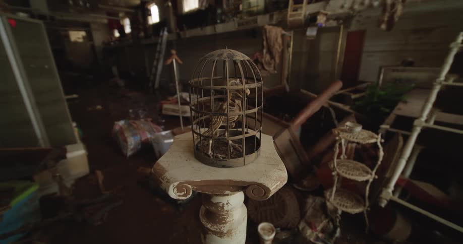 A garage filled with old furniture including a cage containing a dinosaur skeleton placed on a stool