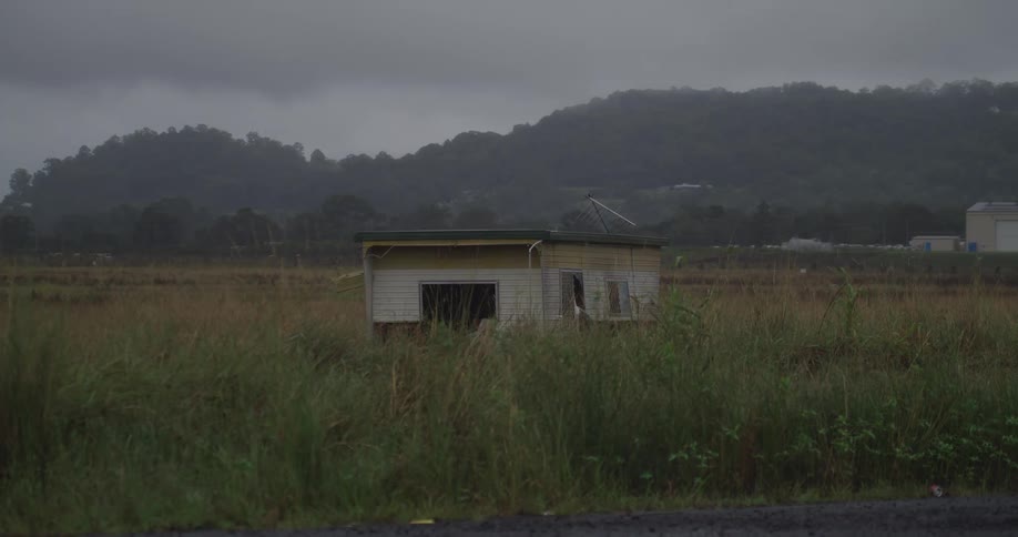 A small shed is in the tall grass