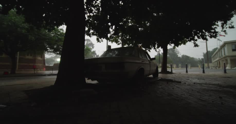 Car parked under a tree as leaves move in the wind