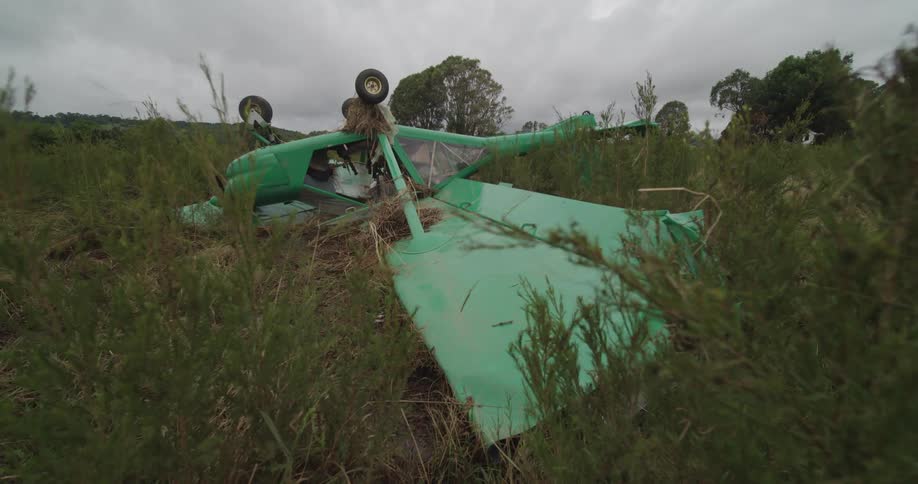 Small airplane lying upside down in a field as plants move in the breeze