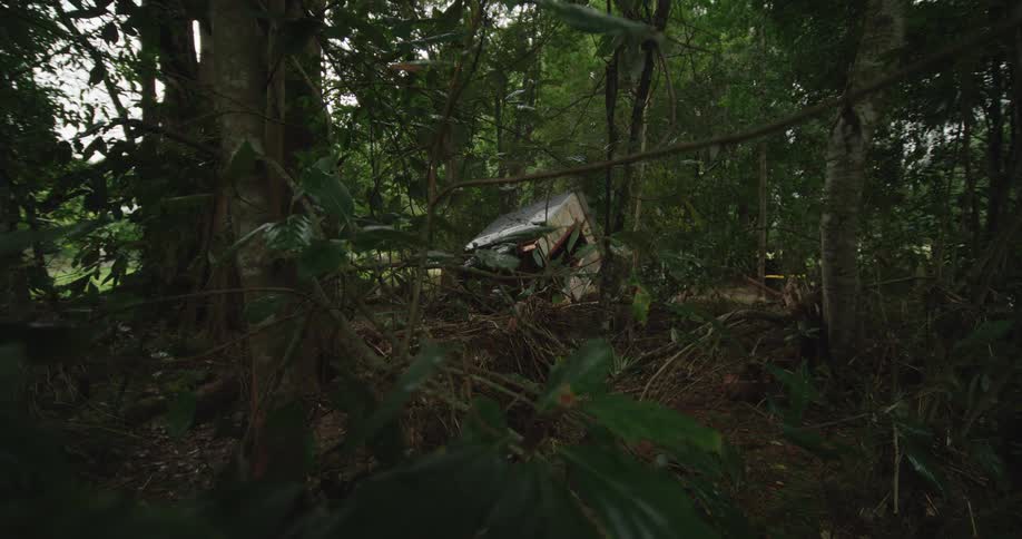Low growth in the woods partially obscures an angular building in the daytime
