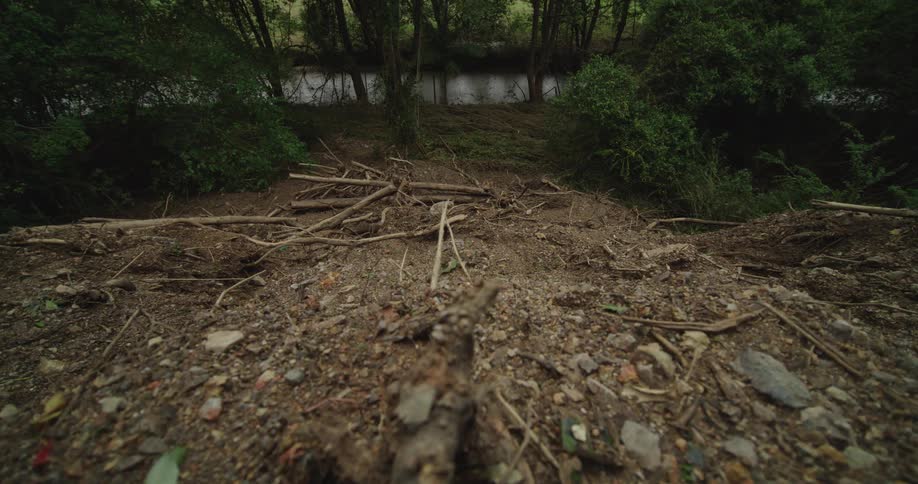 Ground on a slope area covered in pebbles and twigs next to a river surrounded by trees outdoors during day time
