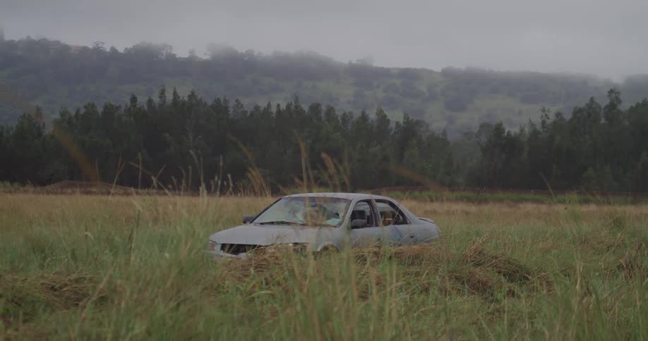 Car with a smashed windshield sitting in a field of tall grass