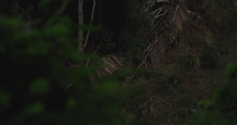 A broken wooden structure and debris lie on a steep overgrown hill next to a small stream in a dark dense forest