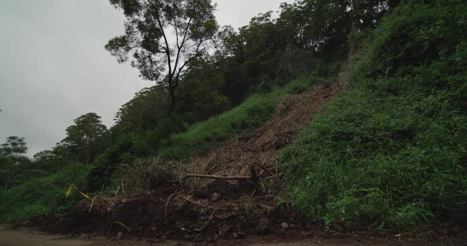 The green hill has trees on it
