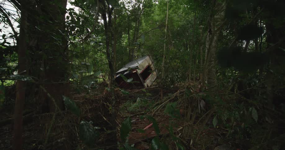 Overturned car among trees in a dense forest area