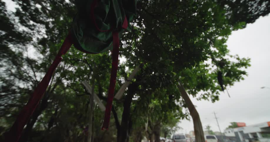 Green and red object hanging from tree in front of street with cars and buildings in background
