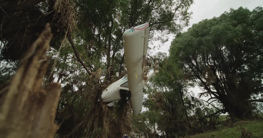 Small airplane stuck upside down in a tree