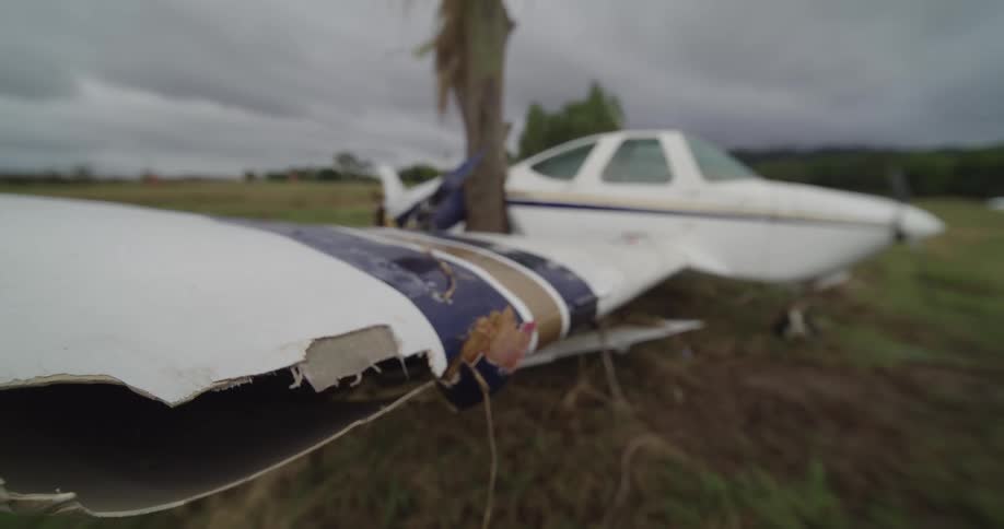 White plane crashed into tree rests in grassy field under cloudy sky