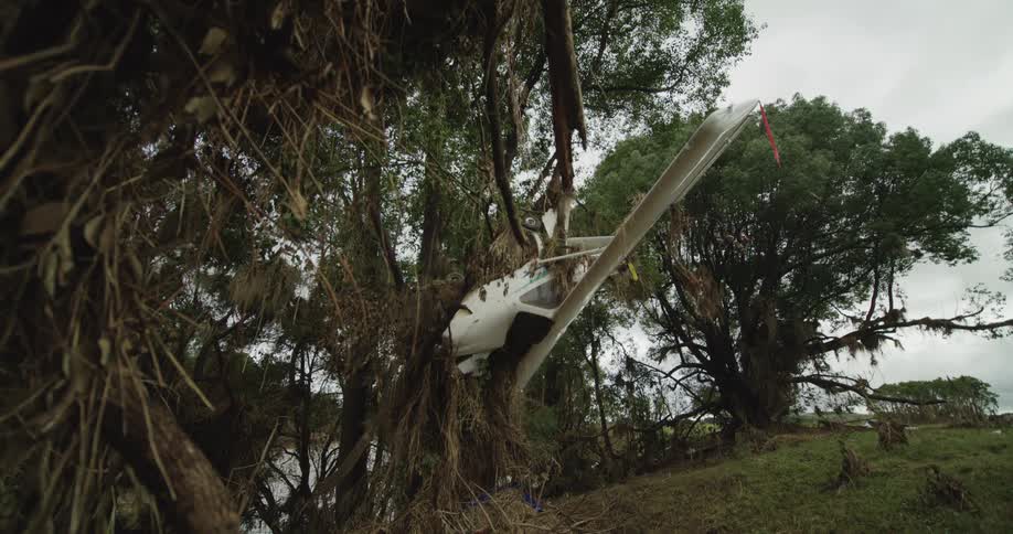 Broken airplane hanging from a tree surrounded by a grove outdoors during day time