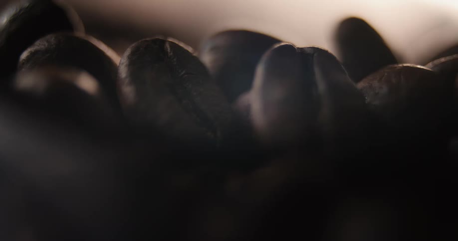 Roasted coffee bean in focus