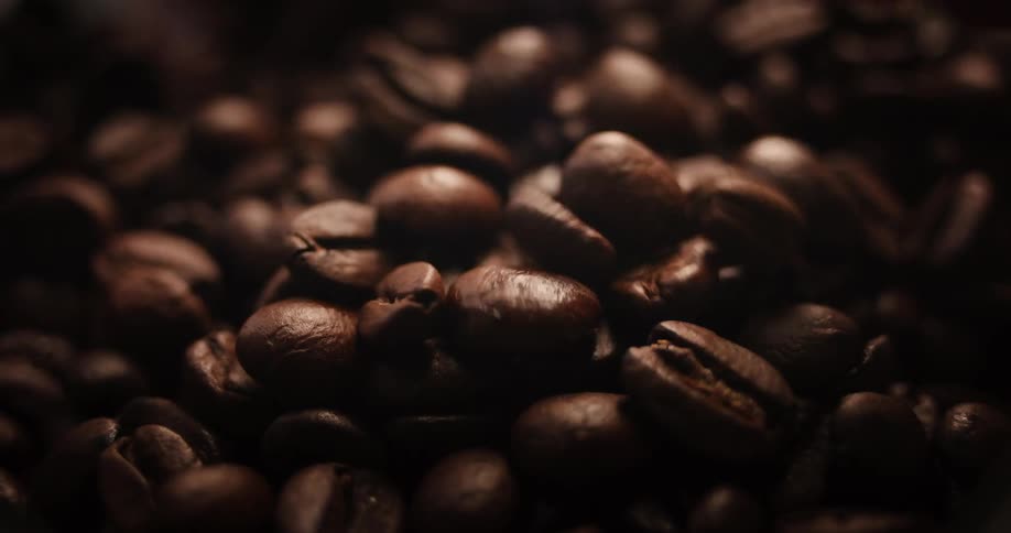 Close up of a person pouring coffee beans into a container