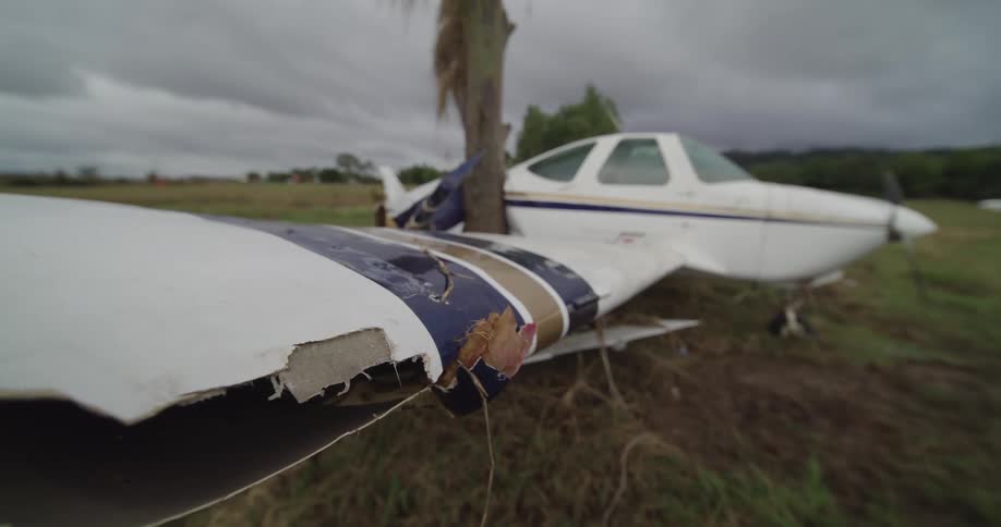 Small airplane with a damaged wing in a field next to a tree under a dark cloudy sky