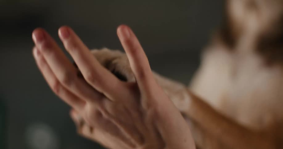 Human hand gently holding a dogs paw in softly blurred tender moment