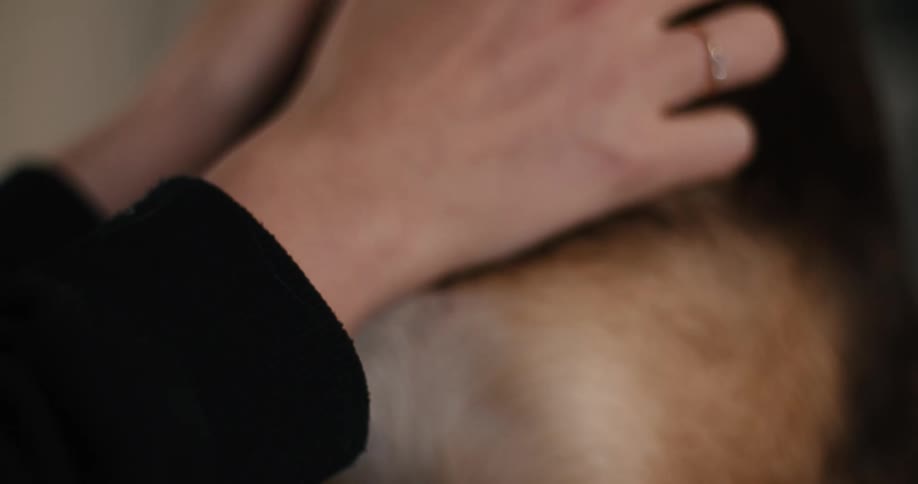 Adult woman petting a dog indoors during day time