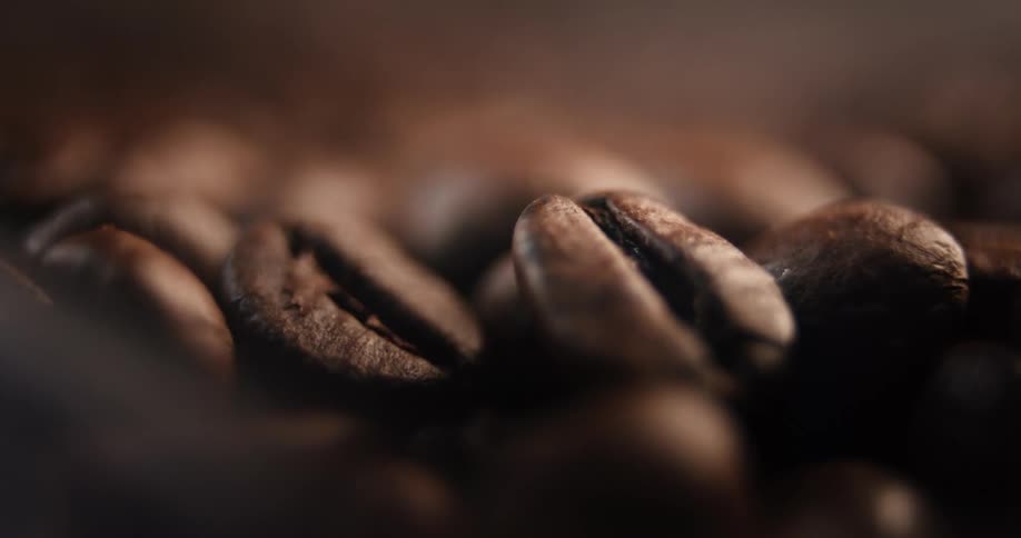 Roasted coffee beans show oily texture and warm tones in detailed closeup