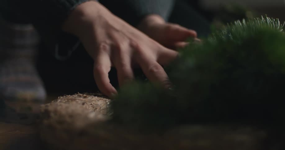Hand holding a pine branch over a table with natural materials