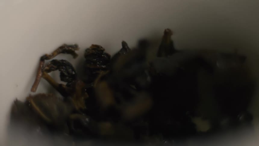 A very close view shows dark steeped tea leaves resting in the bottom of a small white ceramic bowl under dim lighting
