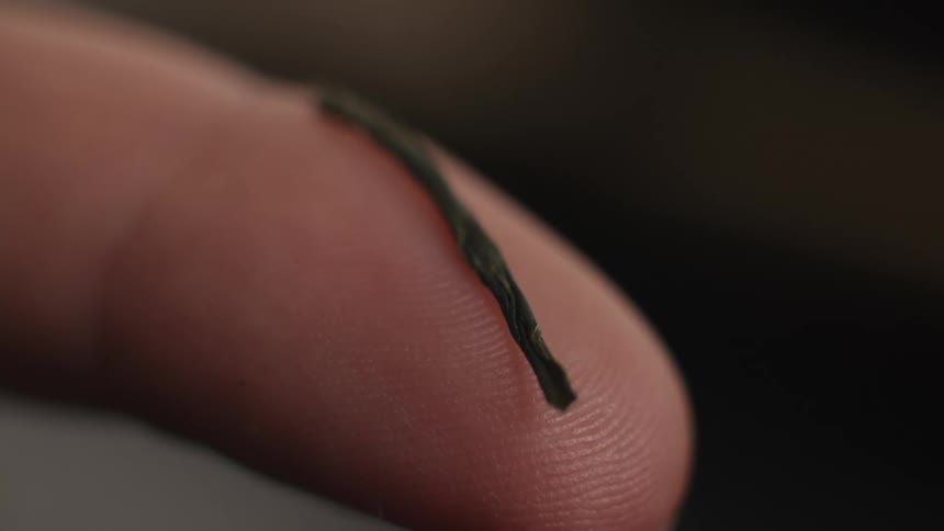 Thin dried green leaf stuck in the tip of a finger
