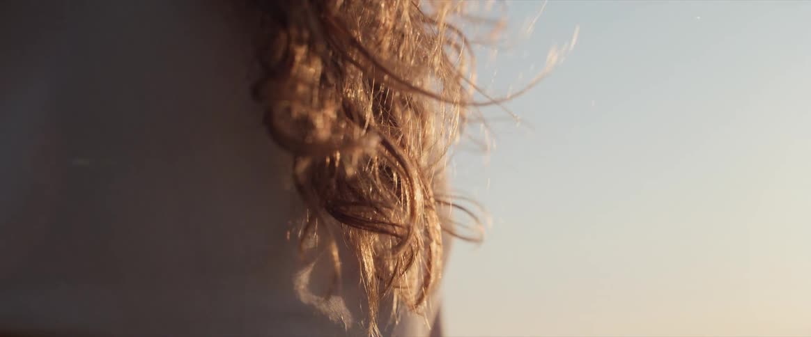 Sunlit curls highlight texture against blue sky in artistic and natural composition