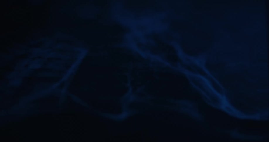 Cranial scan medical image showing internal structures in blue tones
