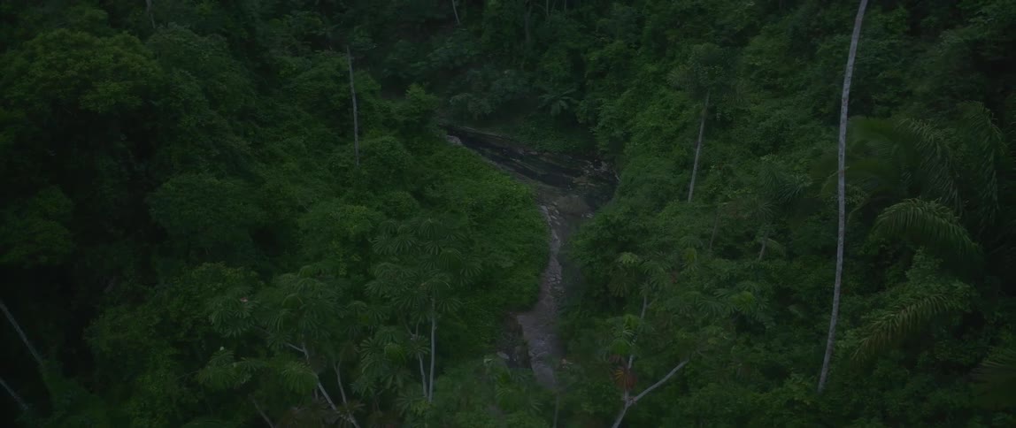 An aerial view shows a dark river flowing through a deep dense green tropical rainforest under subdued natural lighting