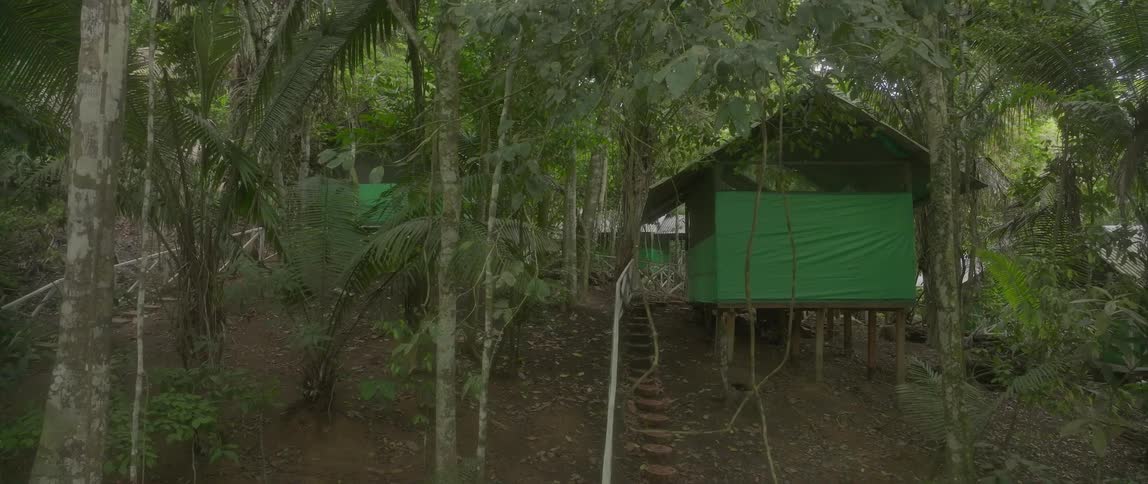 A steep rustic wooden and dirt staircase leads up a muddy embankment toward several elevated green tented cabins nestled within a dense lush tropical forest canopy