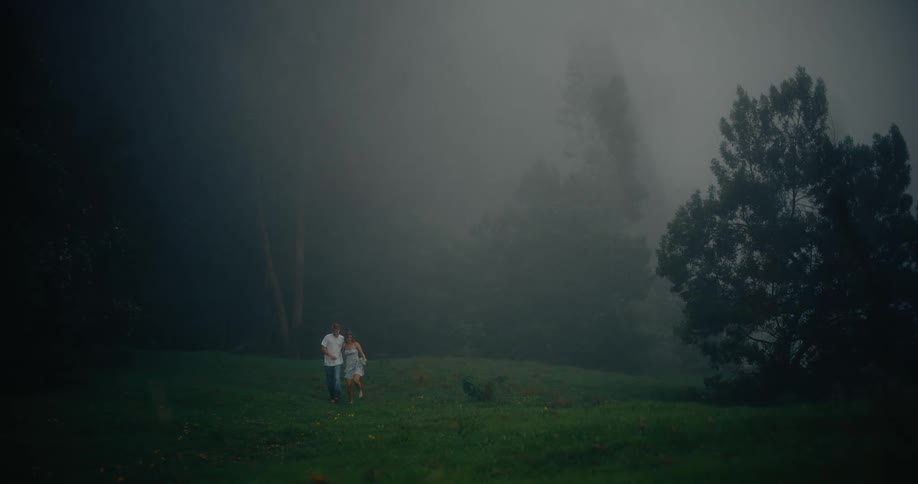 A couple consisting of a man in a white tshirt and blue jeans and a woman in a light patterned dress holding flowers runs through a dark foggy field with dense shadowy trees on either side