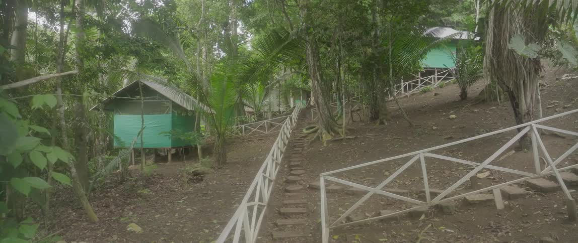 Fences along steps on a hill in the woods near cabins along the coast as a person walks on the steps