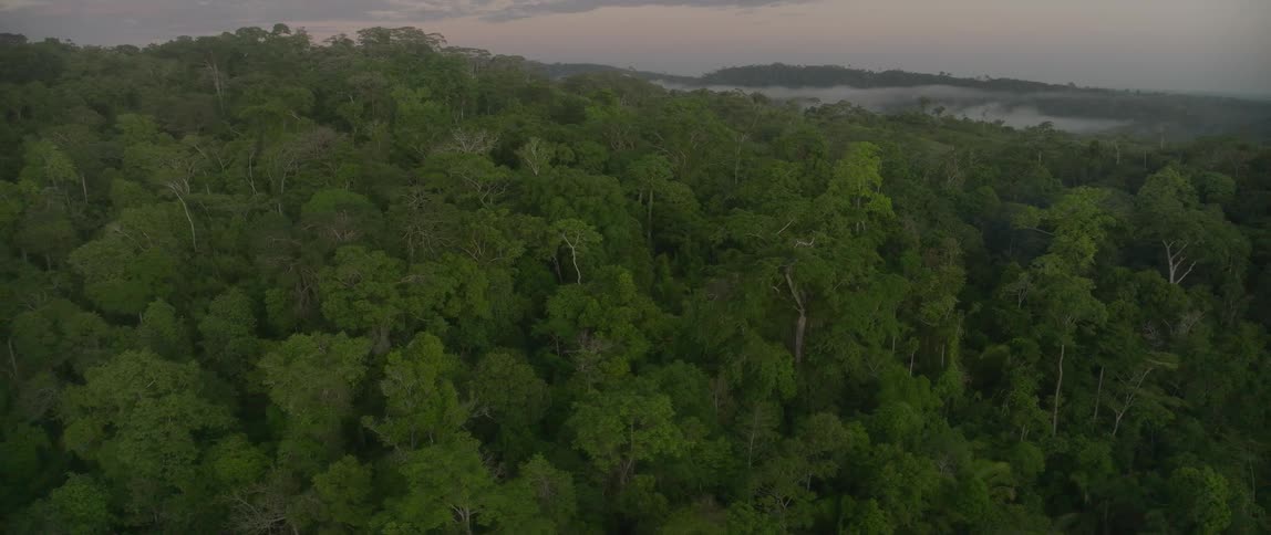 Rising high above a dense rainforest the view retreats to reveal a vast expanse of green canopy and a small shelter with a grey roof nestled below all set against a misty twilight horizon