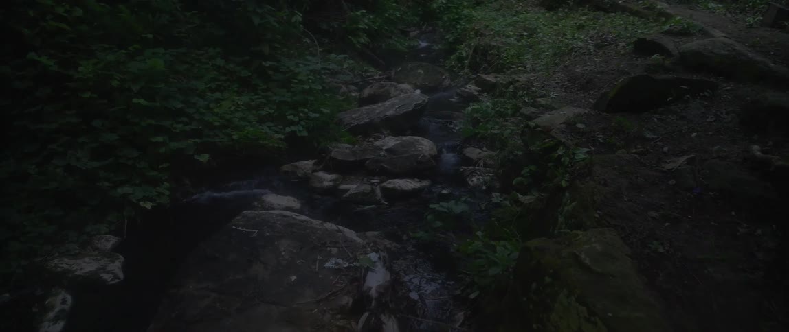 Water running over rocks in a stream in the woods