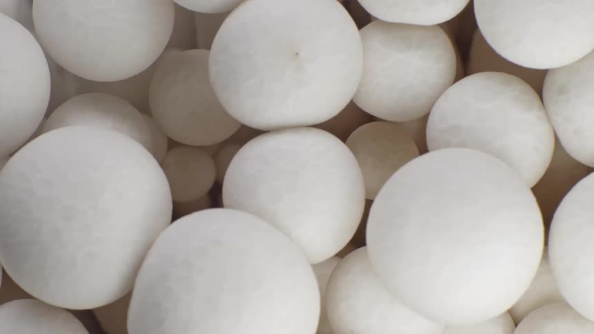 A close view shows a tightly packed cluster of raw white shimeji mushrooms with long stems and small round textured caps against a dark background