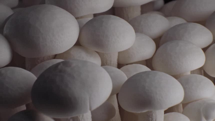 A macro close view shows a collection of raw white shimeji mushrooms with rounded caps and long stems bunched together against a dark background