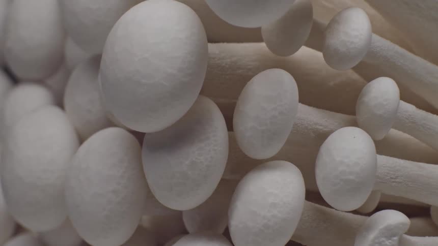 A very close view shows the tightly packed white caps and stems of raw shimeji mushrooms against a dark background as the camera slowly moves upward