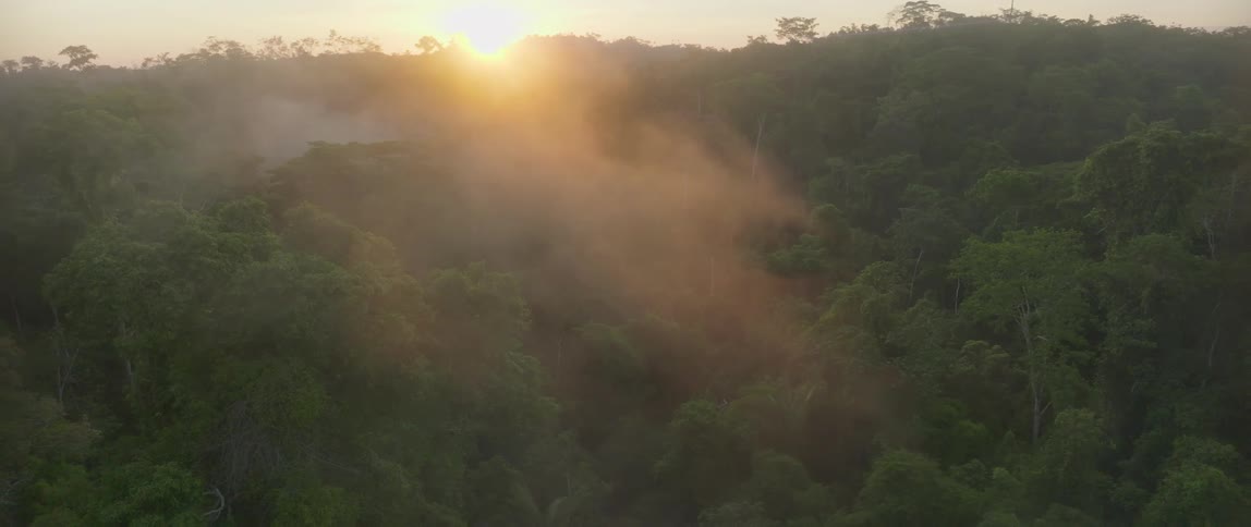 Aerial view moving over treetops in a forest as the sun shines on the horizon