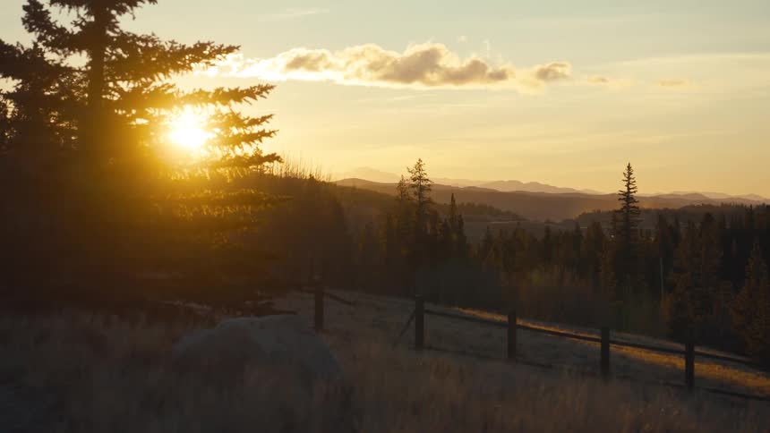 A beautiful sunrise bathes a mountainous landscape with golden light over a field pine trees and a rustic wooden fence