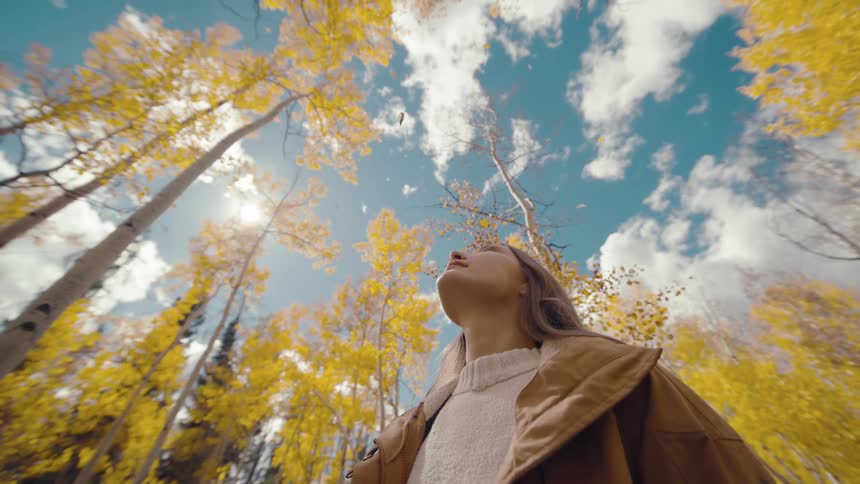 A lowangle shot captures a woman gazing upward in wonder as golden aspen leaves drift slowly down from the canopy against a vibrant blue sky