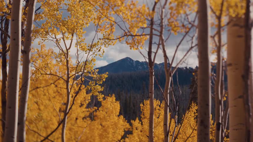 Golden autumn trees frame a distant mountain beneath a partly cloudy sky