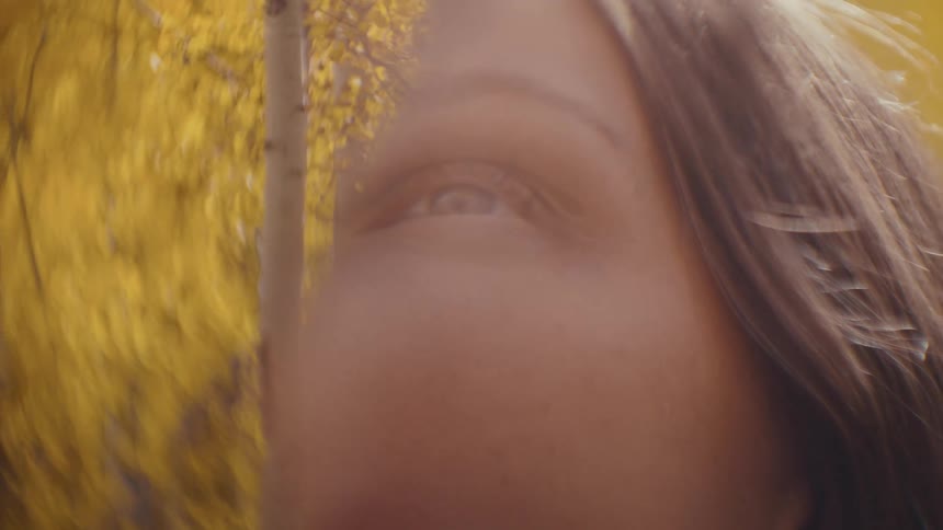 Overlay of a womans face with a forest of yellow leaves