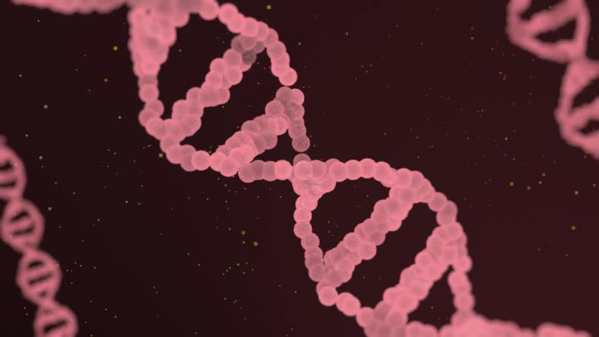 Dna double helix represented by pink structures against a dark background