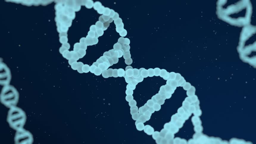 Pale blue segmented dna strands rotate gracefully within a dark deepblue void surrounded by floating particles that suggest the vast complexity of the microscopic world