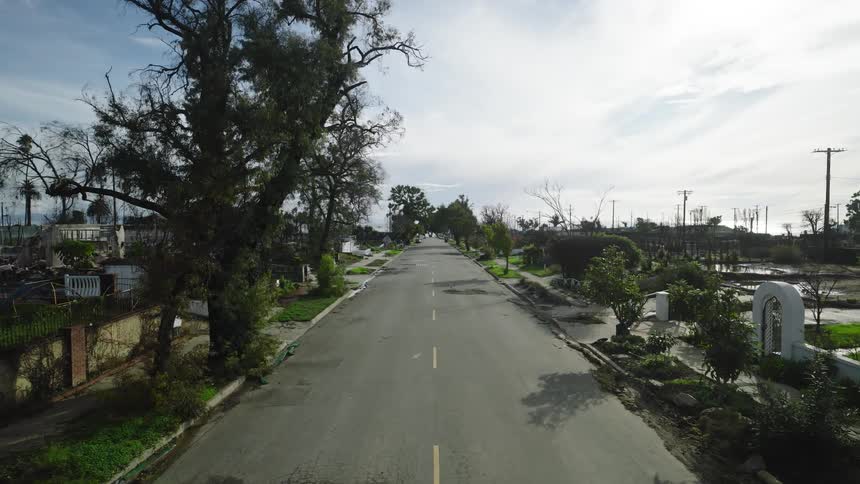 Deserted street with damaged trees and construction sites