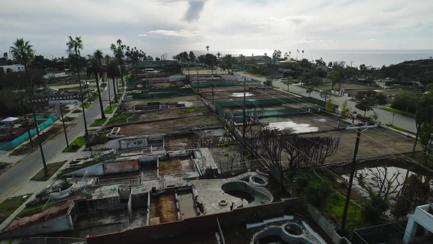 An aerial view of a coastal neighborhood after a fire with destroyed homes bare lots and palm trees facing the ocean under an overcast sky