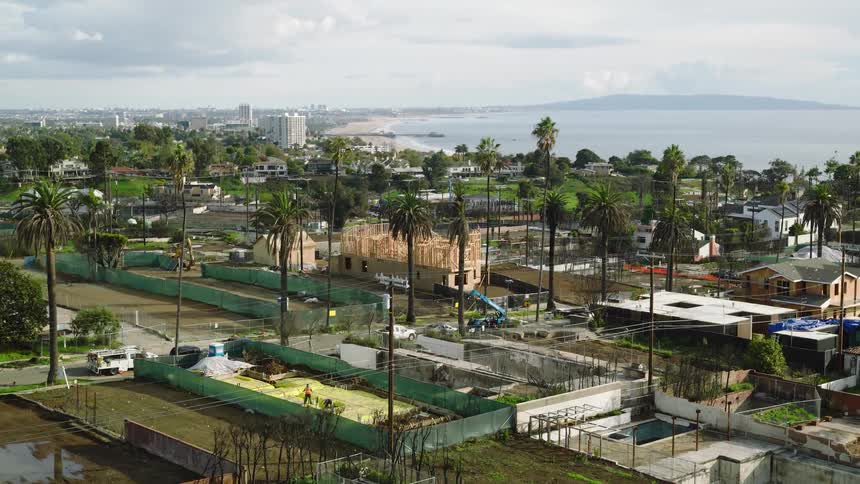 Aerial of a coastal neighborhood with palm trees and homes overlooking the ocean