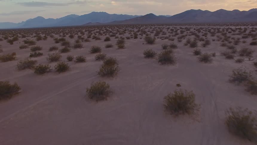 Flat desert with scattered shrubs and a mountain range in the background
