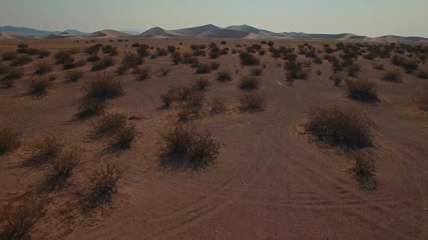 Aerial view of plants and vegetation across the desert with dunes and mountains in the distance