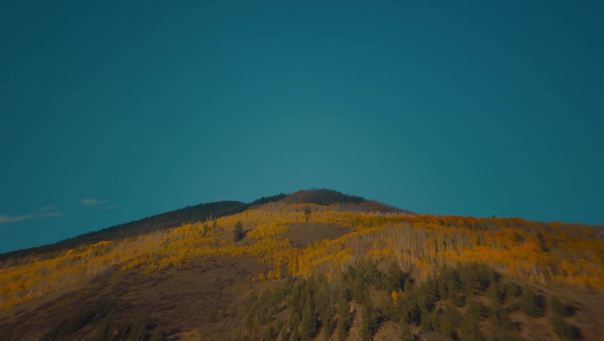 A sweeping aerial view moves steadily toward a mountain summit capturing the stark contrast between deep green forests and vast patches of brilliant yellow vegetation beneath a clear sky