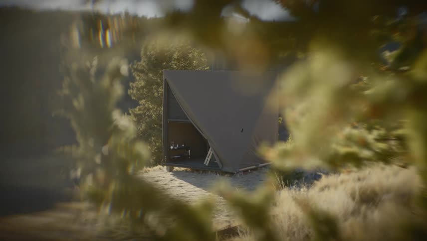 Triangular cabin seen through branches in a wooded area