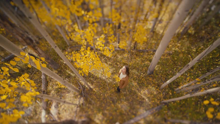An extremely highangle shot looks down on a young woman standing at the base of several tall slender lightcolored trees likely aspensthe ground and the tree canopy above are covered in vibrant yellow autumn leaves framing the woman in a circle o